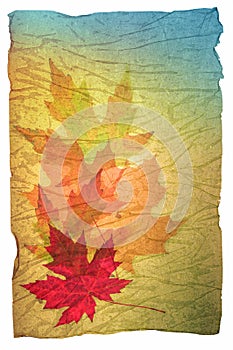 Fall leaves grunge paper