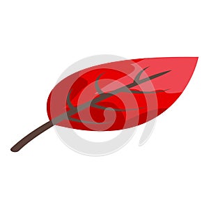 Fall leaves icon, isometric style