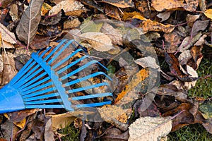 Fall leaves with rake
