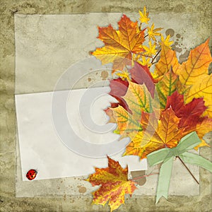 Fall leaves over vintage background