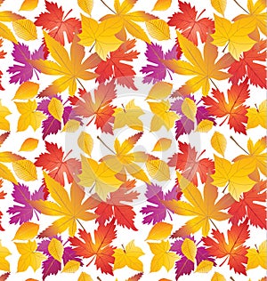 Fall leaves pattern