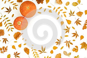 Fall leaves and pumpkins on white background. Autumn, thanksgiving day concept. Flat lay, top view. Copy space