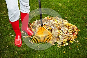 Fall leaves with rake