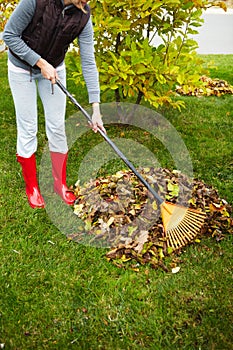 Fall leaves with rake