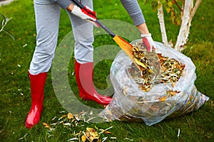 Fall leaves with rake