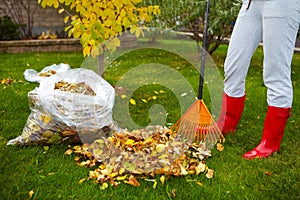 Fall leaves with rake