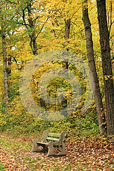 Fall leaves scattered on the ground around a park bench in a forest with fall foliage in Kenosha, Wisconsin