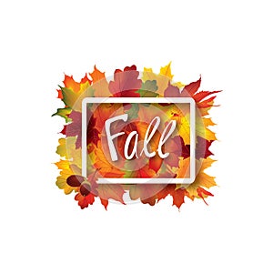 Fall leaves sign. Autumn leaf frame. Nature symbol with Fall let