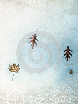 Fall leaves in vintage background