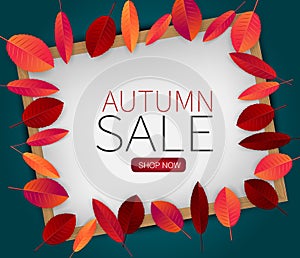 Fall leaves on wooden frame board with autumn sale typography text. Seasonal background.