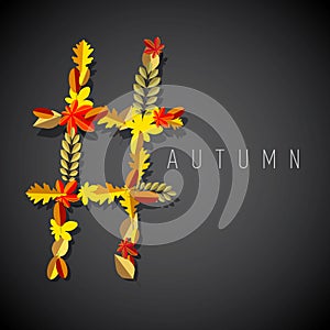 Autumn symbol photo