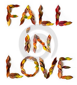 FALL IN LOVE makes of colorful autumn leaves. Positive affirmation mades of fall foliage. Autumnal design.