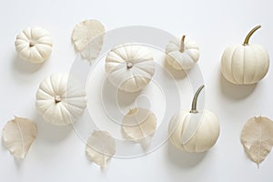 Fall in Love with White Pumpkins: Add a Touch of Autumn Magic to Your Home Decor!