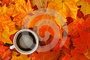 Fall maple leaf on wooden table, background texture