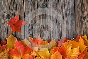 Fall maple leaf on wooden table, background texture