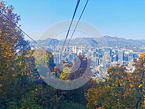 Fall maple leaves foliage Autumn with city apartments scene and cable car tower in Seoul, South Korea