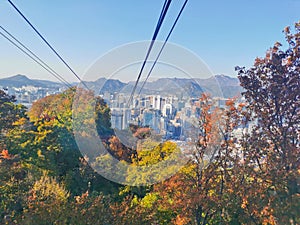 Fall maple leaves foliage Autumn with city apartments scene and cable car tower in Seoul, South Korea