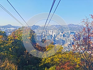 Fall maple leaves foliage Autumn with city apartments scene and cable car tower in Seoul, South Korea