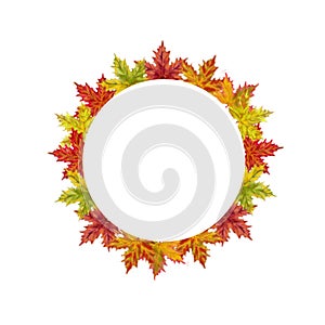 Fall Maple Leaves Round Template Isolated on White Background.