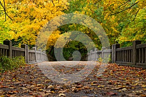 Fall at Matthiessen State Park