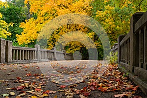 Fall at Matthiessen State Park