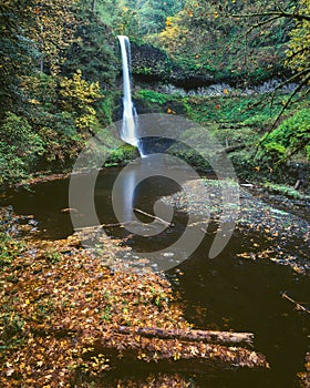 Fall, Middle North Falls, Silver Falls State Park