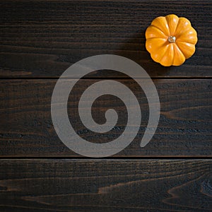 Fall Mini Pumpkin in Minimalist Still Life Card on Moody, Dark Shiplap Wood Boards with Extra Room or space for copy, text or your