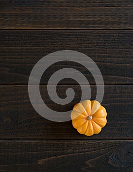 Fall Mini Pumpkin in Minimalist Still Life Card on Moody, Dark Shiplap Wood Boards with Extra Room or space for copy, text or your