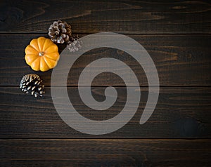 Fall Mini Pumpkin and Pine Cones in Minimalist Still Life Card on Moody, Dark Shiplap Wood Boards with Extra Room or space for cop