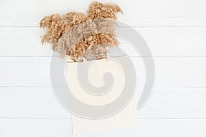 Fall mockup with tote bag blank and dry reeds on white wood background