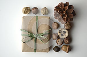 Fall mood. Acorns, tree nuts and seeds with a pine cone and a gift-wrapped box in brown paper and raffia with copy space.