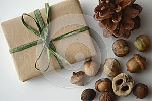 Fall mood. Acorns, tree nuts and seeds with a pine cone and a gift-wrapped box in brown paper and raffia with copy space.