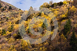 Fall in mountain of China