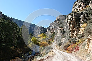 Fall mountain road