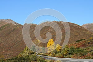 Fall Mountain Scene