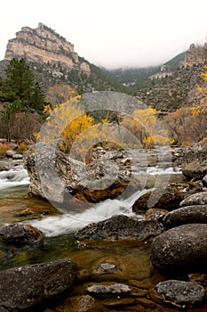 Fall mountain stream