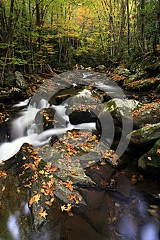 Fall Mountain Stream