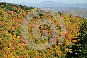 Fall in Mt. Mitchell, area Yancey County, North Carolina, United States photo