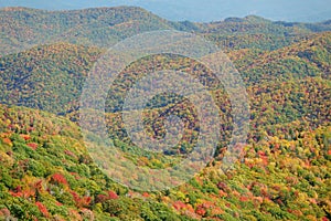Fall in Mt. Mitchell, area Yancey County, North Carolina, United States photo