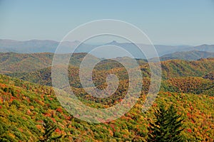 Fall in Mt. Mitchell, area Yancey County, North Carolina, United States photo