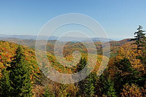 Fall in Mt. Mitchell, area Yancey County, North Carolina, United States photo