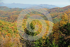 Fall in Mt. Mitchell, area Yancey County, North Carolina, United States photo