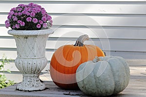 Fall mums and pumpkins
