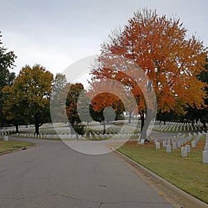 Fall at a National cemetery
