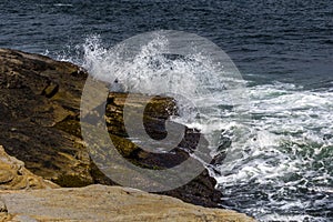 Fall in New England trees in full color