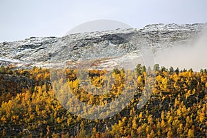 Fall in Norway