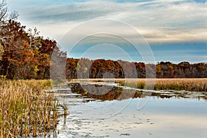 Fall on Oconomowoc River