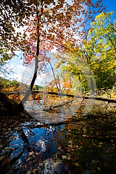 Fall on Ogle Lake, Brown County State Park, Indiana