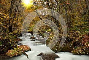 Fall of Oirase, Japan