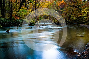 Fall of Oirase, Japan